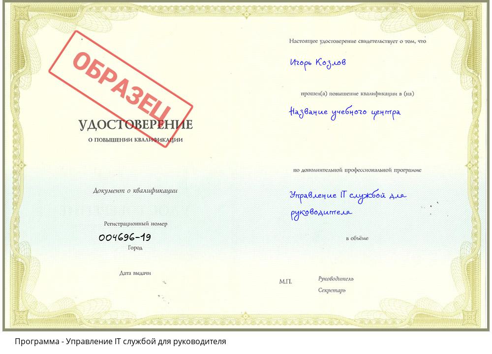 Управление IT службой для руководителя Новокубанск