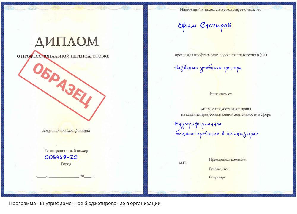 Внутрифирменное бюджетирование в организации Новокубанск