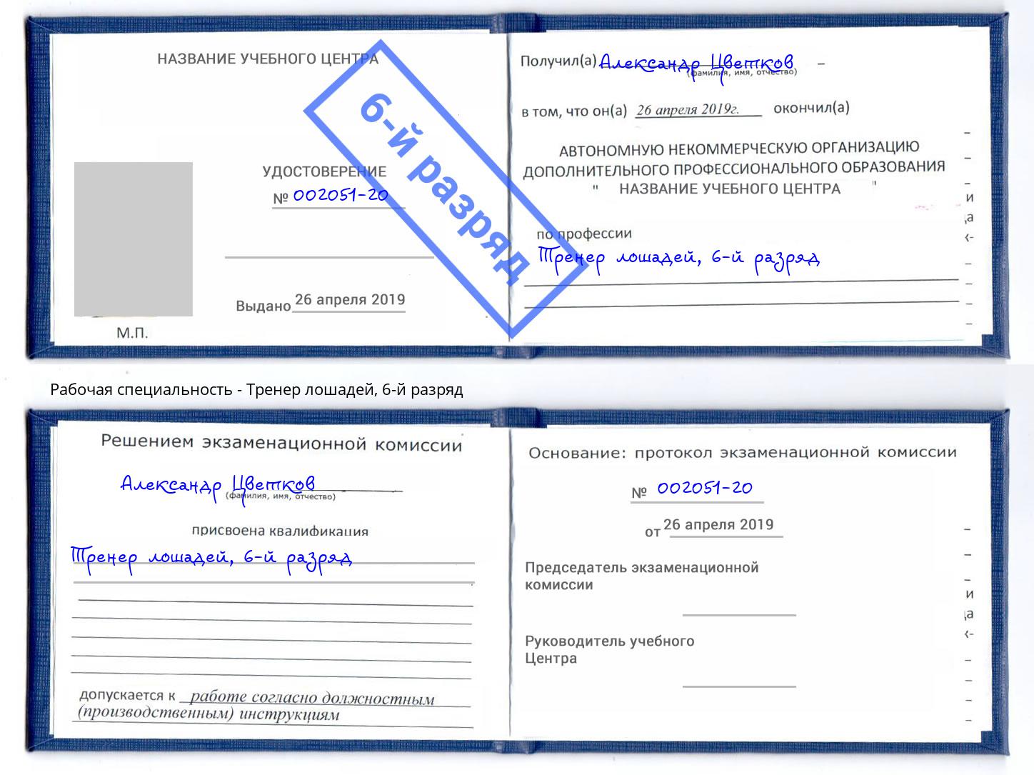 корочка 6-й разряд Тренер лошадей Новокубанск